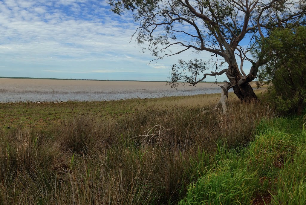 Lake Cooper Picnic Area | Corop VIC 3559, Australia