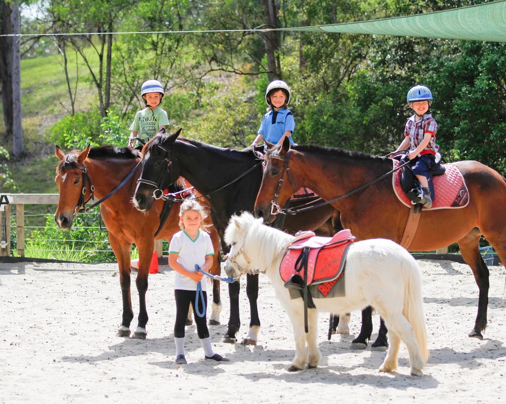 Horse Riding Hub - Beginner Horse Rider Education Specialist | 99 Aylesham Dr, Bonogin QLD 4213, Australia | Phone: (07) 5667 7468