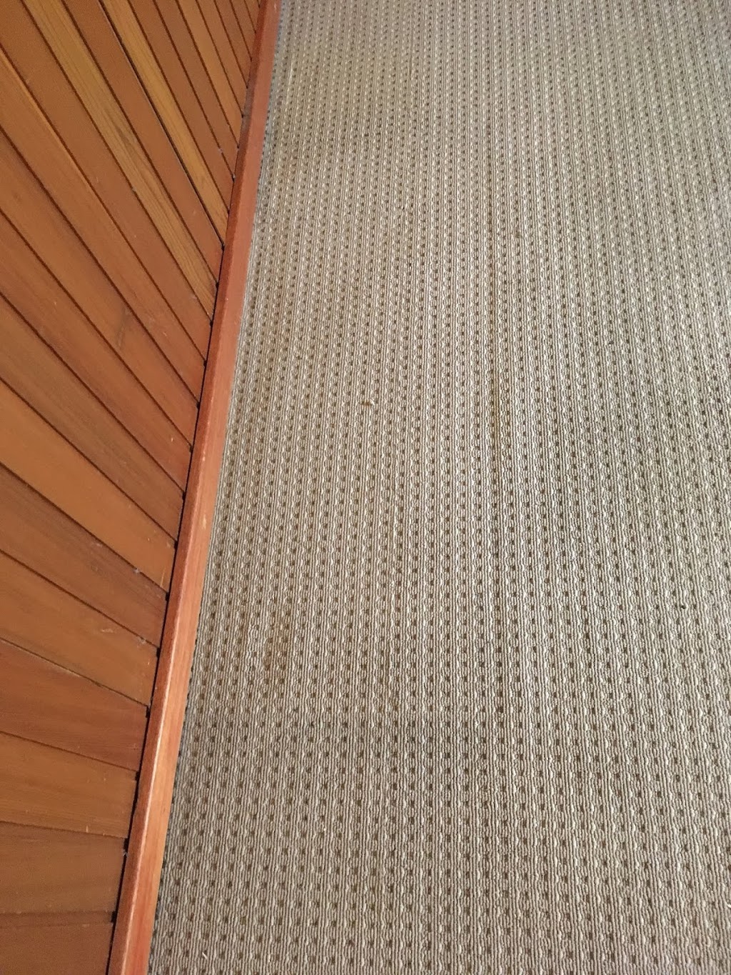 SES Carpet Cleaning Saint Marys | 2 Laura Ave, St Marys SA 5042, Australia