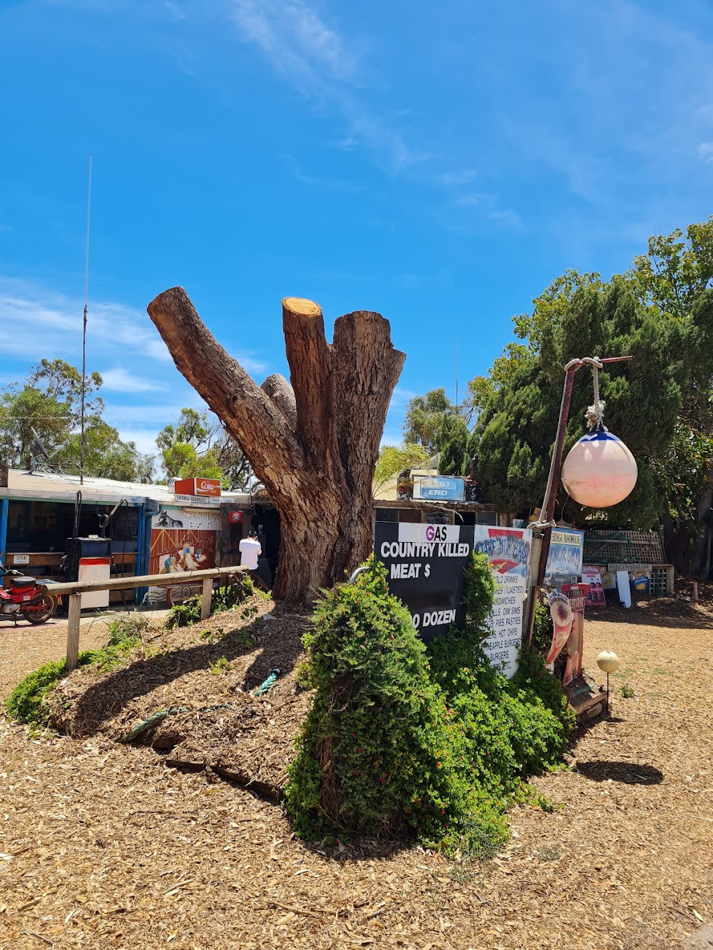 Sheringa Roadhouse | 12541 Flinders Hwy, Sheringa SA 5607, Australia | Phone: (08) 8687 8761