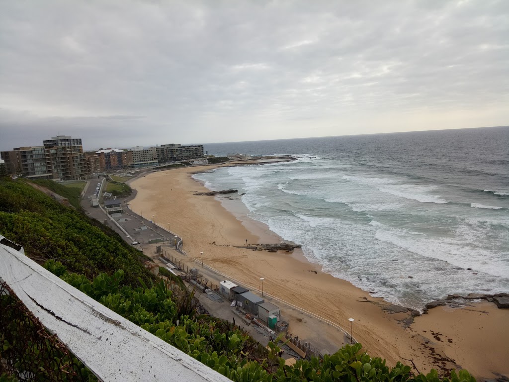 Anne Feneley Lookout | park | Cnr &, Watt St & Reserve Rd, Newcastle NSW 2300, Australia | 0249742807 OR +61 2 4974 2807