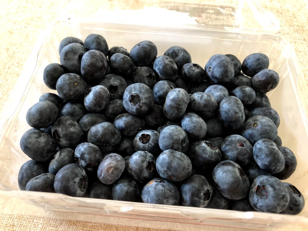 Ameys Track Blueberries | store | 670 Ameys Track, Foster VIC 3960, Australia | 0356812273 OR +61 3 5681 2273