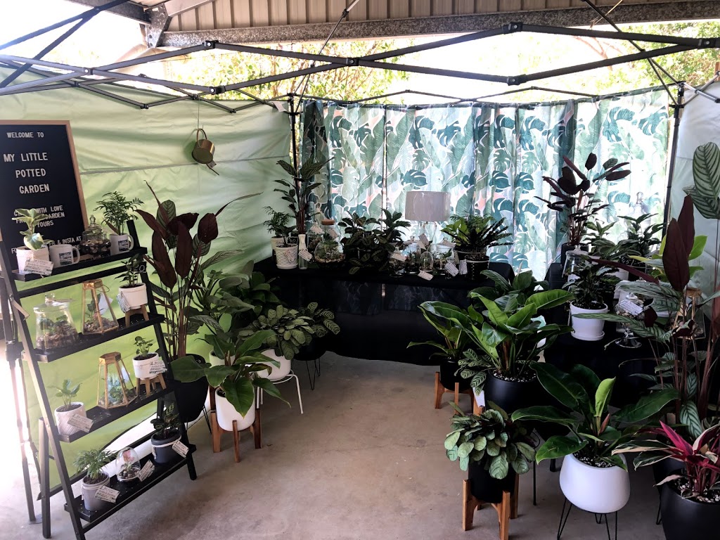 My Little Potted Garden | store | 48 Muirhead St, Calliope QLD 4680, Australia | 0402130922 OR +61 402 130 922
