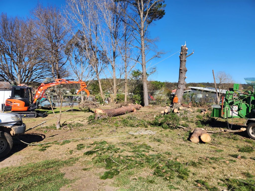 Drewys Vegetation Management | 11 Digby St, Glen Innes NSW 2370, Australia | Phone: 0420 701 696