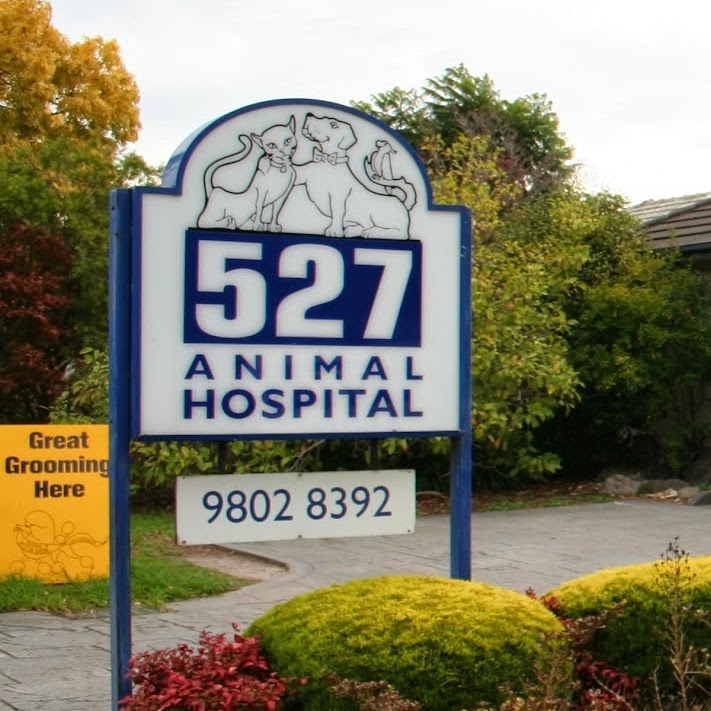 High Street Road Animal Hospital | 527 High St Rd, Mount Waverley VIC 3149, Australia | Phone: (03) 9802 8392