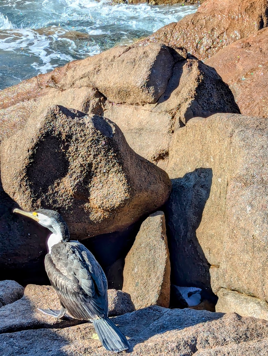 Port Stephens Beachside Garden Villa Rental- Maestral II | 27 Richardson Ave, Boat Harbour NSW 2136, Australia | Phone: (02) 4981 1577