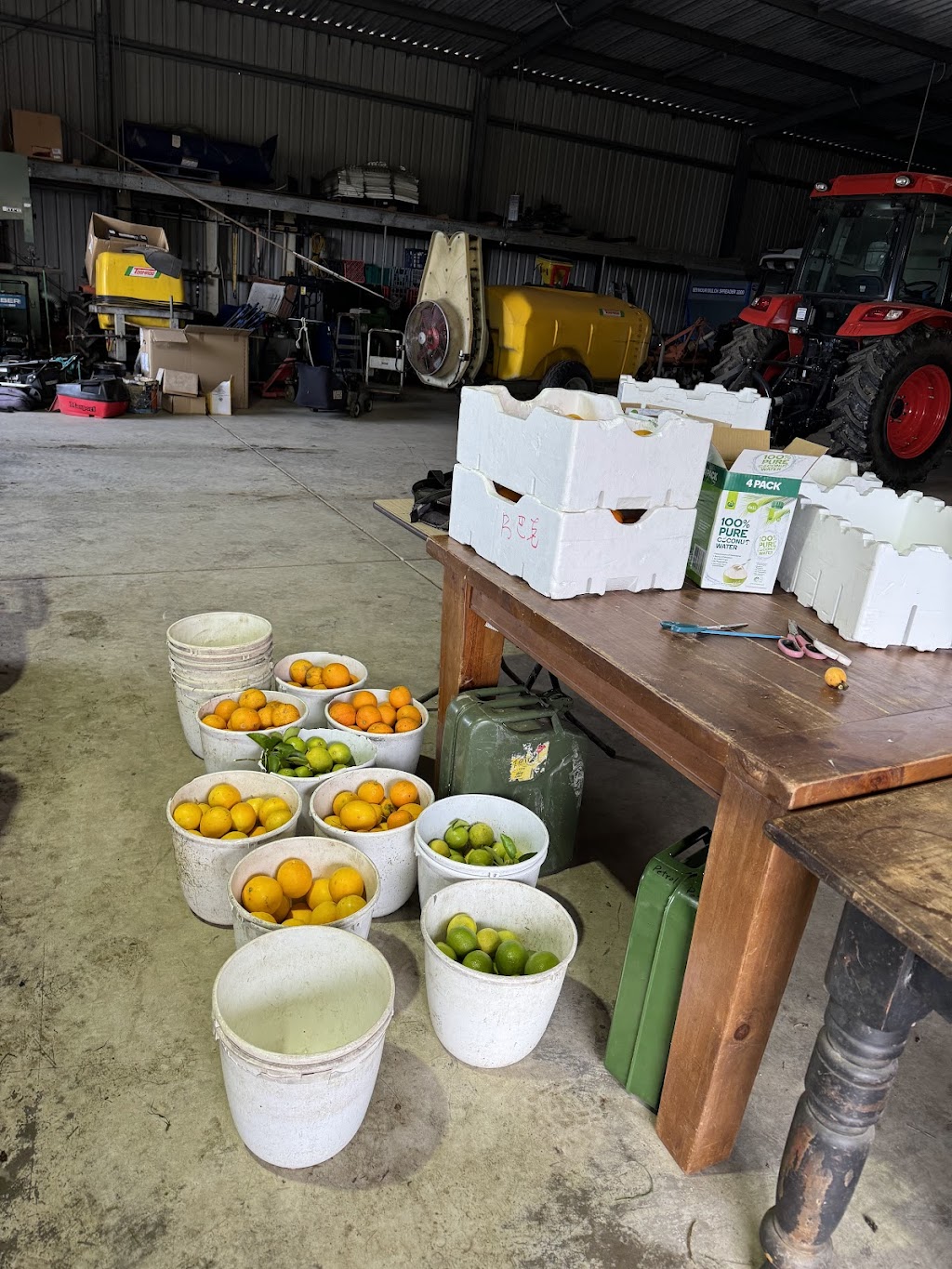 Sanctuary Organic Farm | 140 Niclins Rd, Mangrove Mountain NSW 2250, Australia | Phone: 0478 471 919