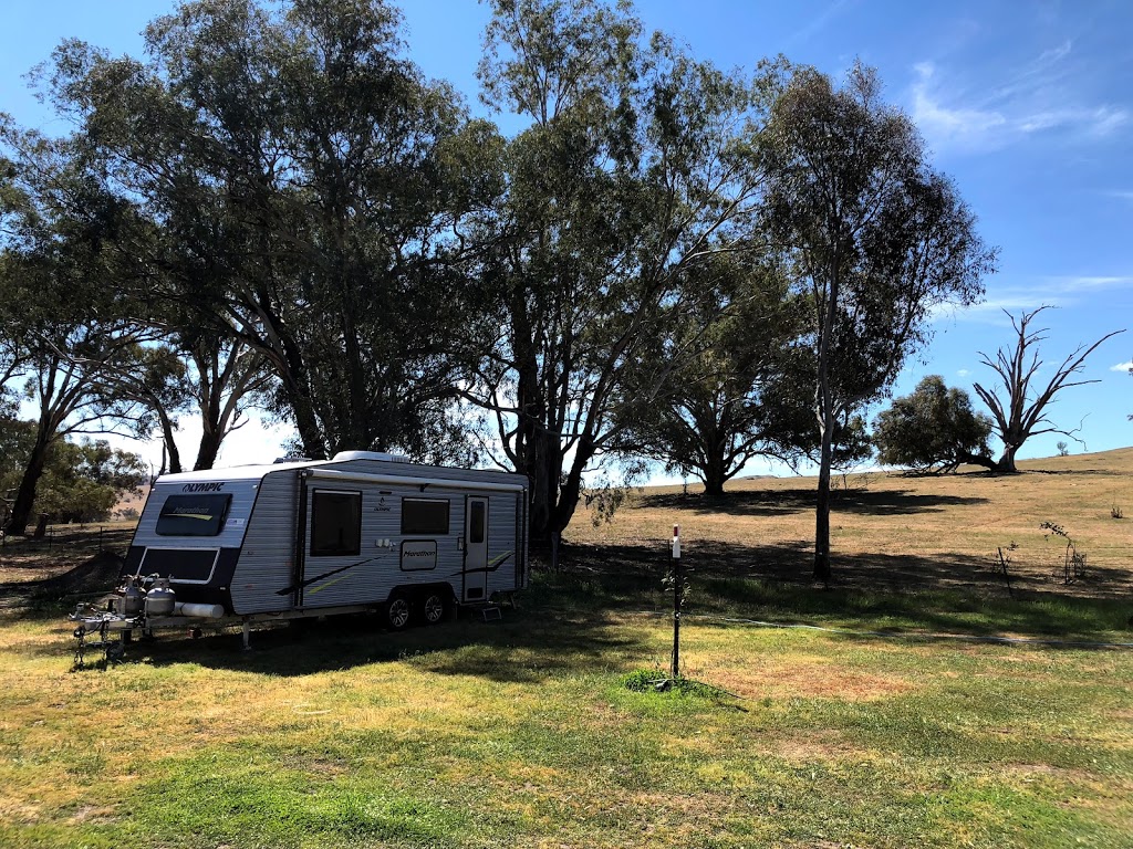 Coolac Cabins & Camping | 100 Harvey Park Lane, Coolac NSW 2727, Australia | Phone: 0417 446 334