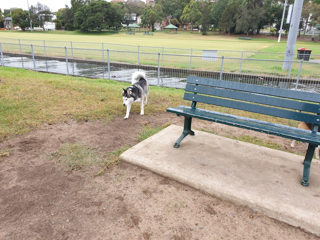 Dog friendly leash-free park | Carlton Cres, Carss Park NSW 2221, Australia