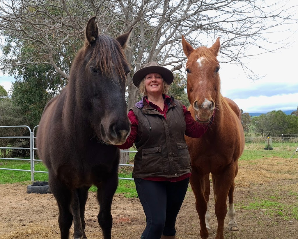 Bellview Connection Equine Assisted Therapy & Counselling | 258 Glue Pot Rd, Pomonal VIC 3381, Australia | Phone: 0429 353 680