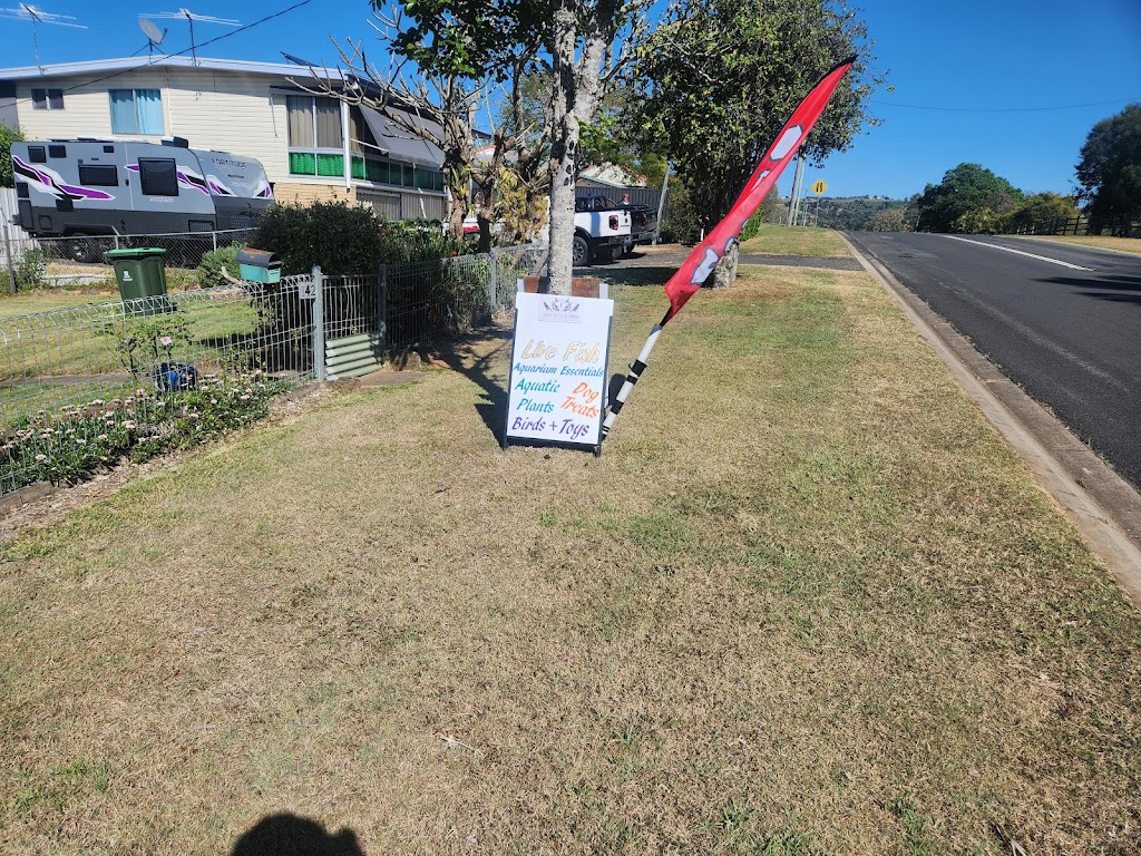 Fins N Feathers | 142 Edmond St, Marburg QLD 4346, Australia | Phone: 0477 722 570