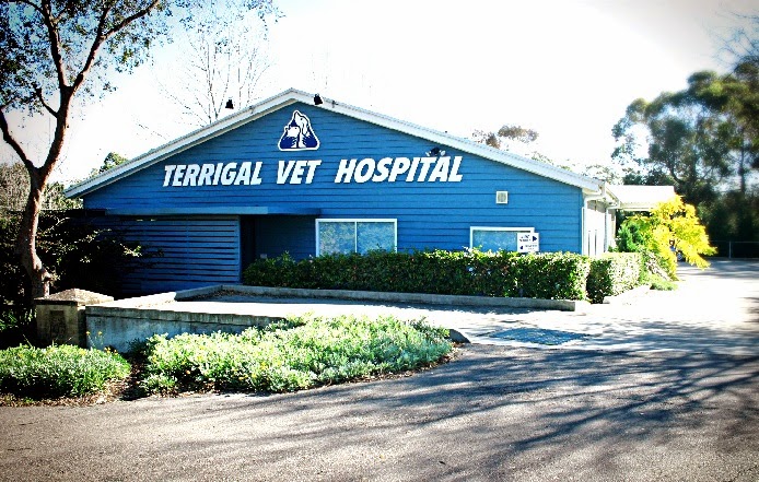 Terrigal Veterinary Hospital | 197 Terrigal Drive, (entry via Serpentine Road), Terrigal NSW 2260, Australia | Phone: (02) 4365 2300