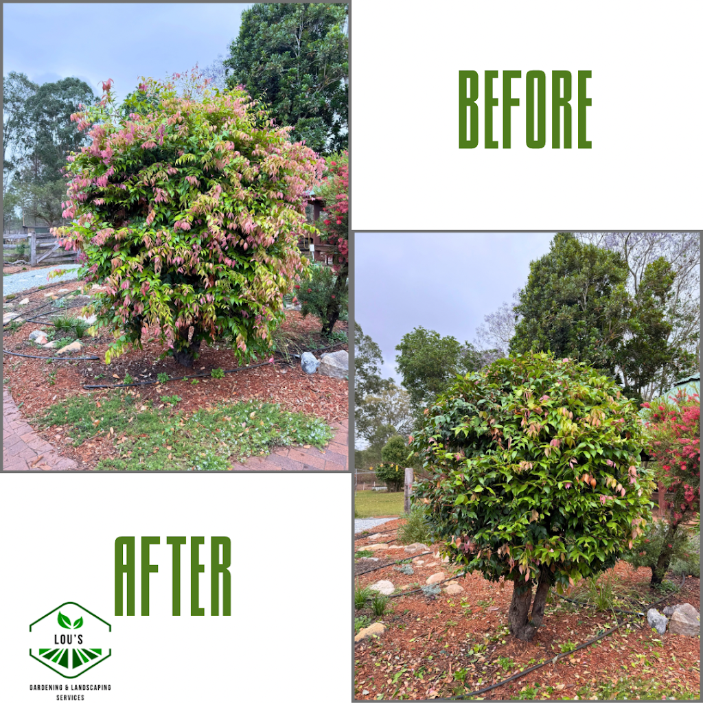 Lou’s Gardening & Landscaping Services | 15 Challenge Ave, Kensington Grove QLD 4341, Australia | Phone: 0424 890 129