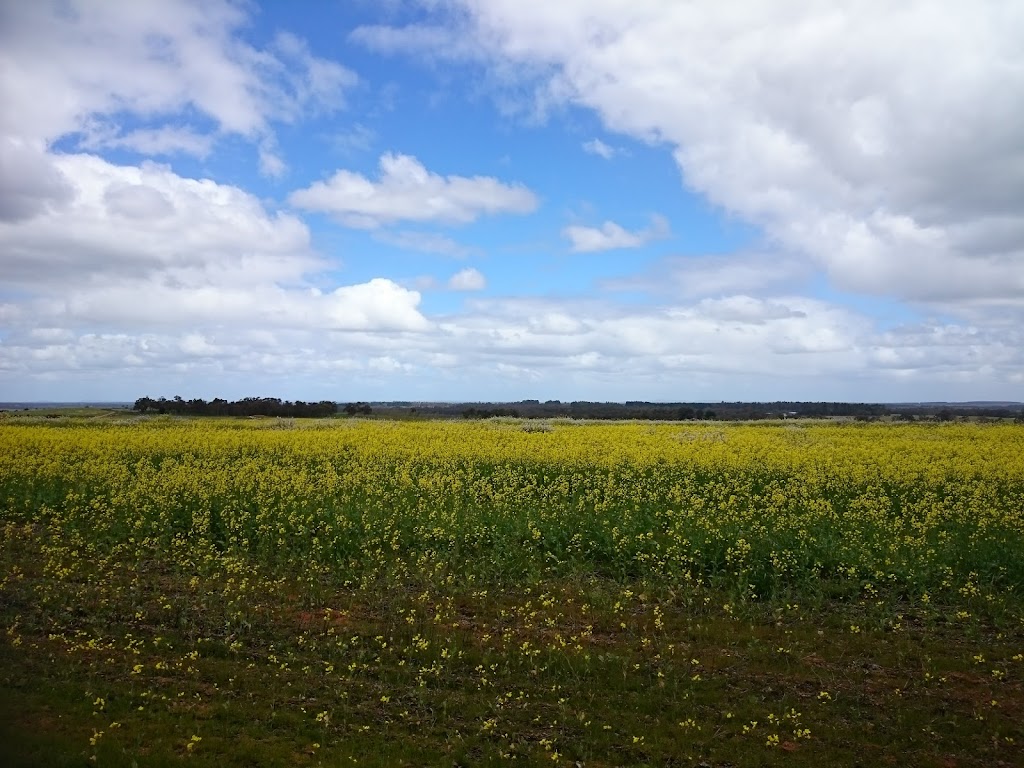 Mount Barker Golf Course | 32175 Albany Hwy, Mount Barker WA 6323, Australia | Phone: (08) 9851 1197