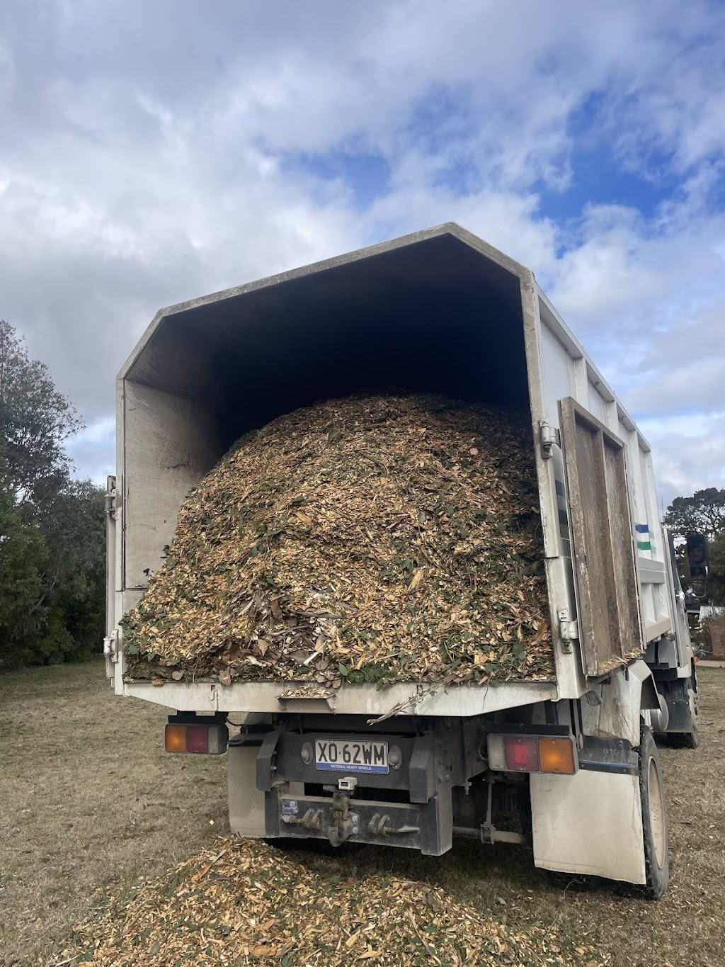 Climate tree services | 39a Chettle Ln, Gundary NSW 2580, Australia | Phone: 0422 592 236