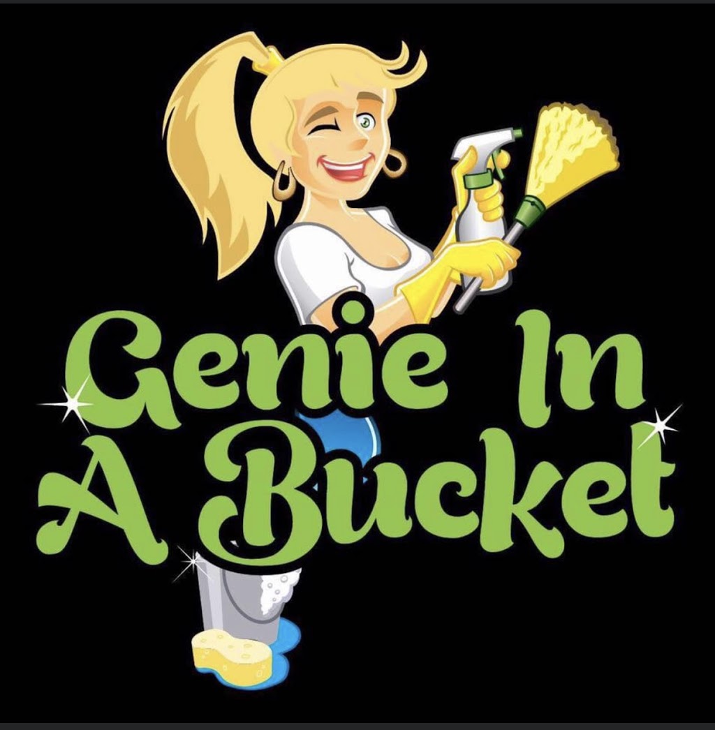 Genie In A Bucket | 2A George St, Swan Hill VIC 3585, Australia | Phone: 0429 492 742