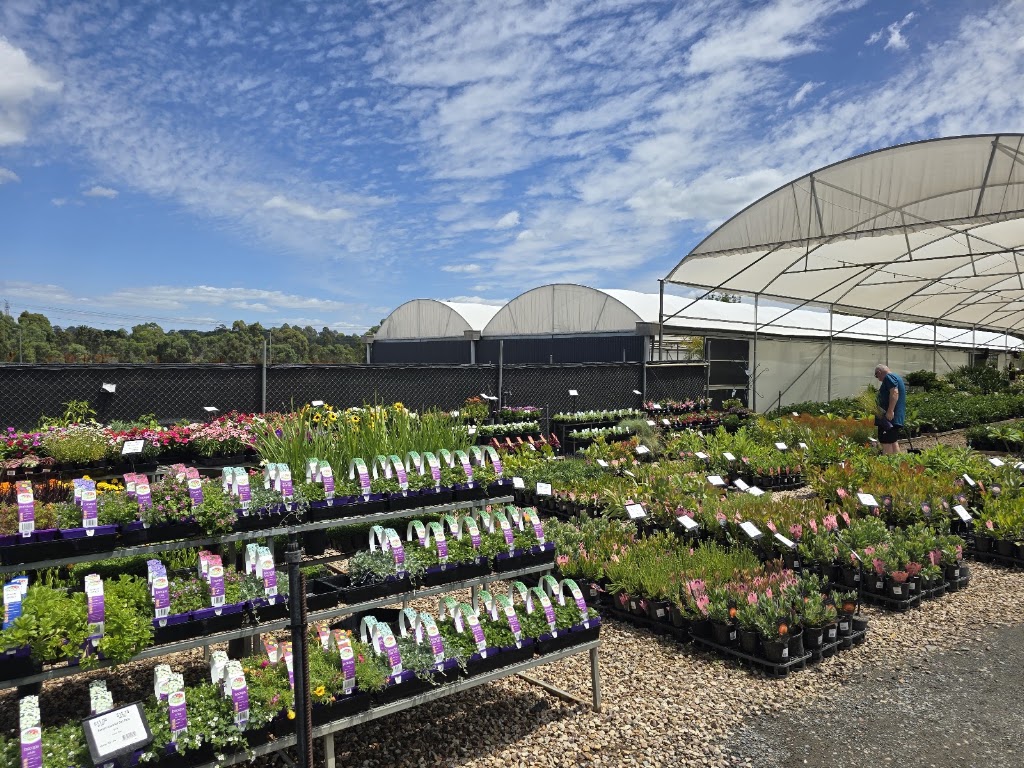 Plantmark Wantirna | 771 Boronia Rd, Wantirna VIC 3152, Australia | Phone: (03) 9845 6900