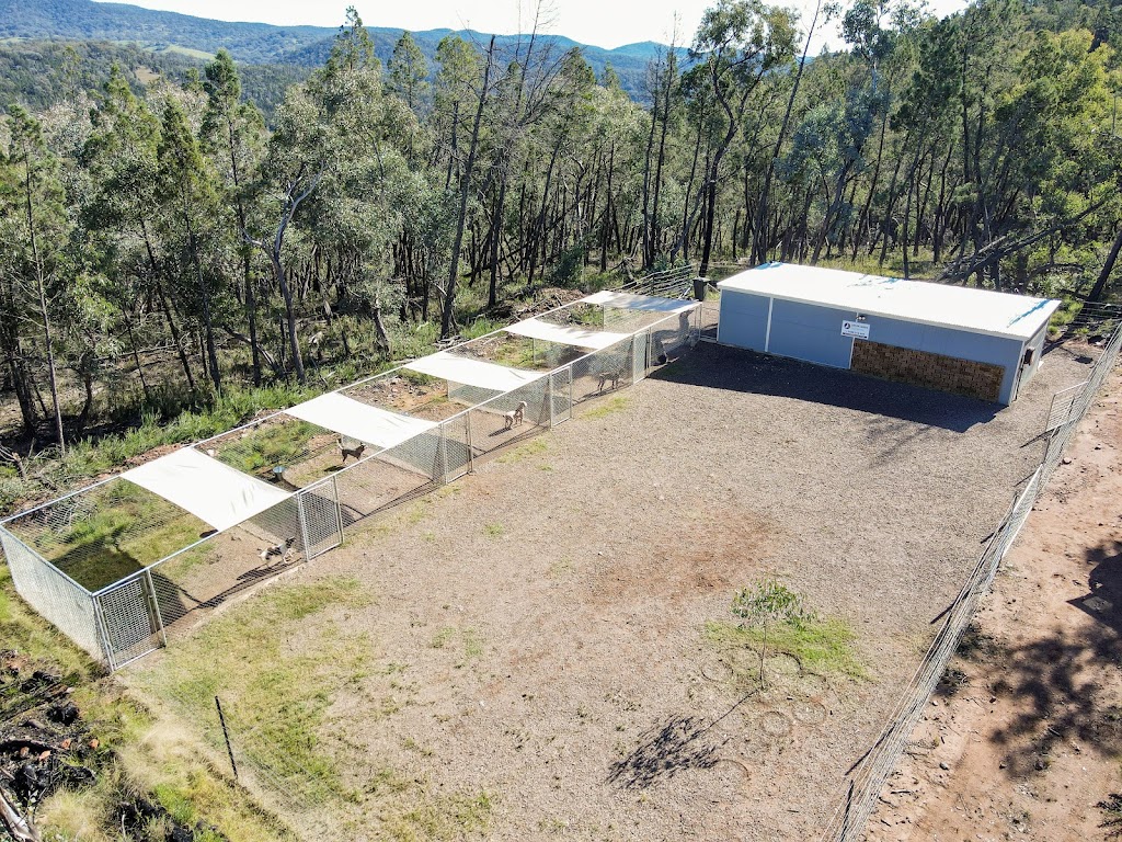 Loose Leads Dog Training | Bakers Swamp NSW 2820, Australia | Phone: 0408 018 946