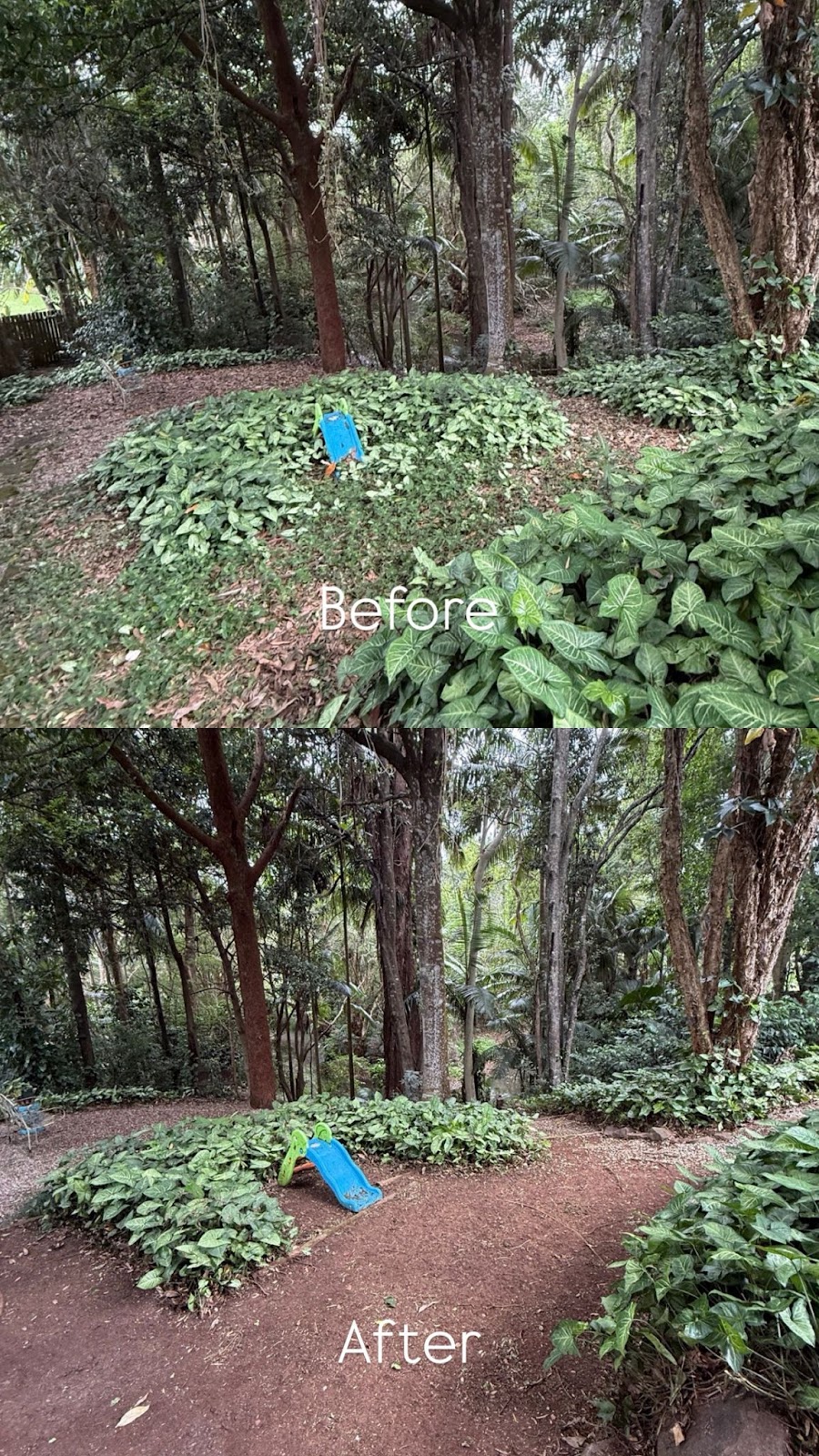 Byron PRO Gardens | 5 Tyagarah Rd, Tyagarah NSW 2481, Australia | Phone: 0452 617 291