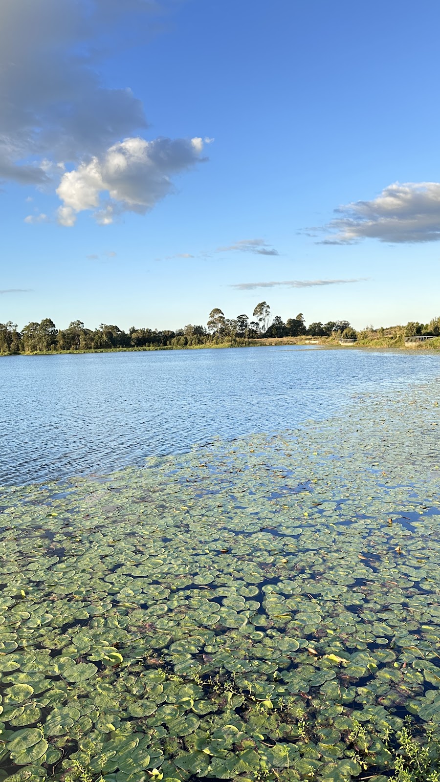 Lawnton Lakes | 34 Donald Mackie St, Lawnton QLD 4501, Australia | Phone: 0488 557 759