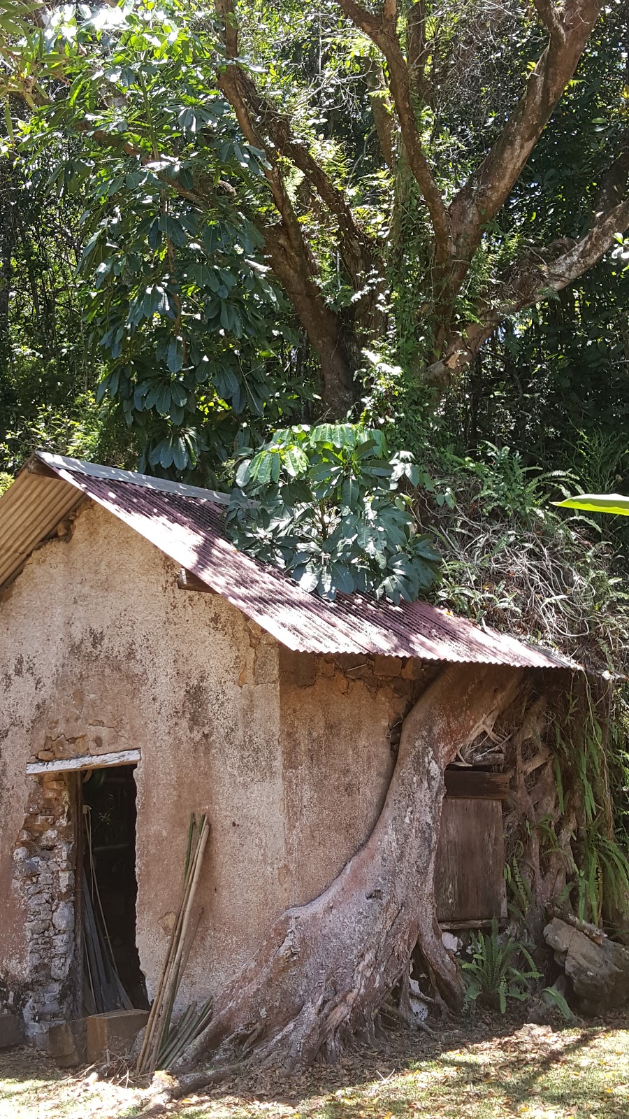 Bindarri National Park | park | Upper Orara NSW 2450, Australia