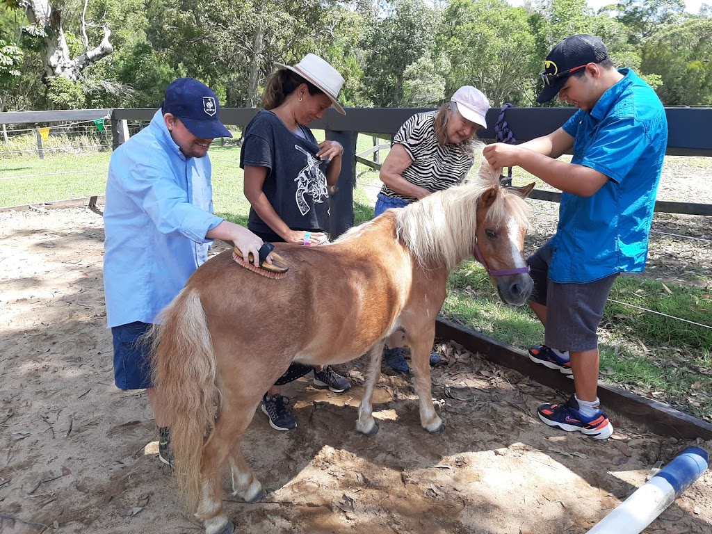 Equine Assisted Therapy | 3 Woodhaven Way, Cooroibah QLD 4565, Australia | Phone: 0427 072 186