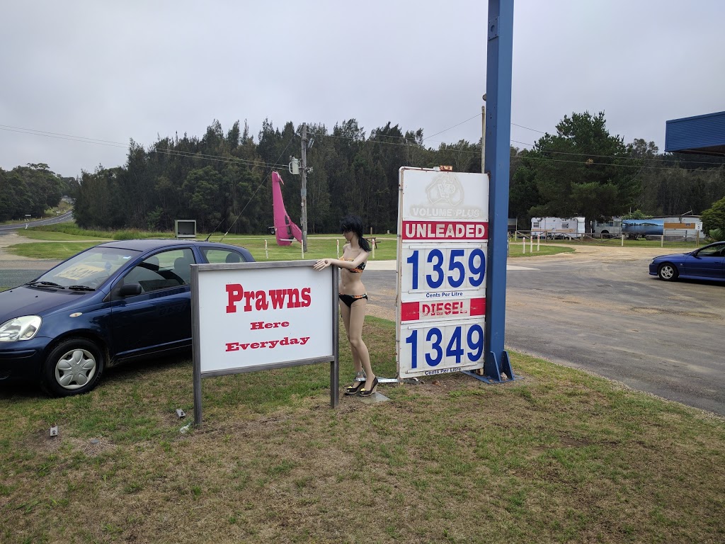 Coila Auto Centre & Caravan Park | gas station | 3926 Princes Hwy, Coila NSW 2537, Australia | 0244738171 OR +61 2 4473 8171