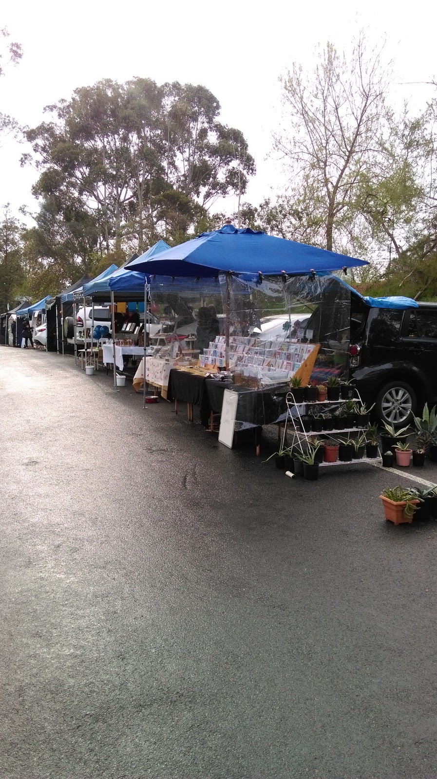 Eltham Community Craft & Produce Market | Panther Pl, Eltham VIC 3095, Australia | Phone: 0401 288 027