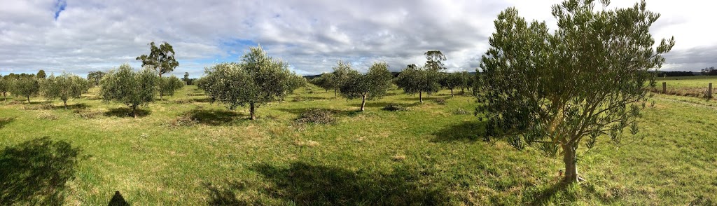 Devon Siding Olives |  | 594 Tarra Valley Rd, Devon North VIC 3971, Australia | 0351826281 OR +61 3 5182 6281