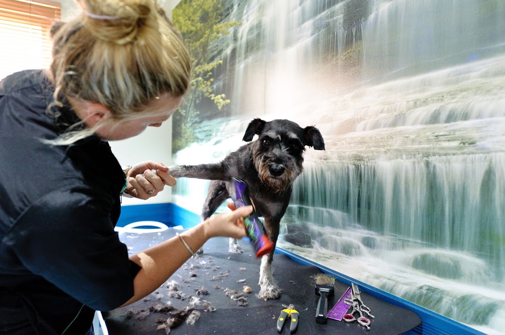 East Port Veterinary Hospital 57 Gordon St, Port Macquarie NSW 2444