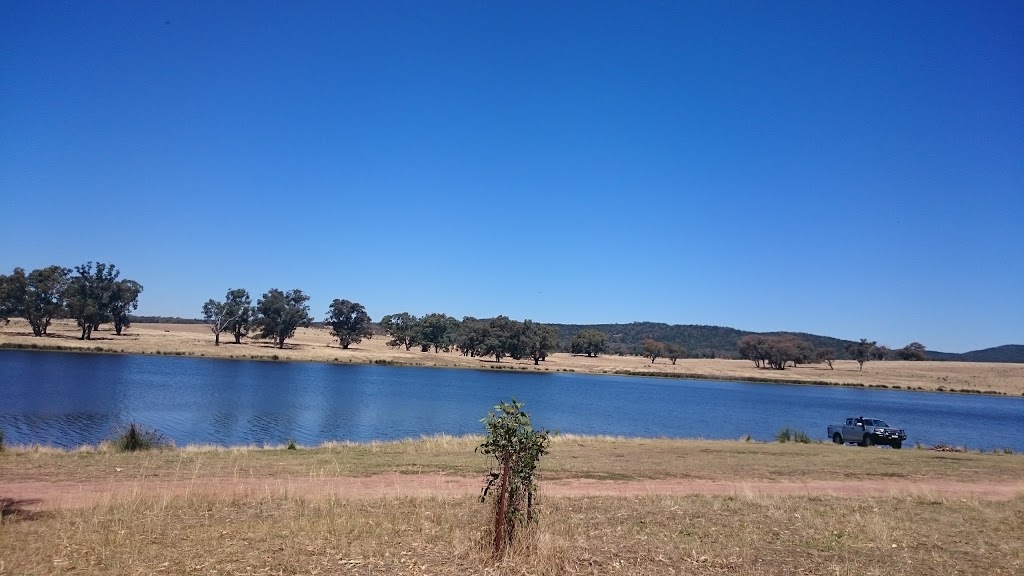 Bethungra Dam | 567 Bethungra Waterworks Rd, Bethungra NSW 2590, Australia