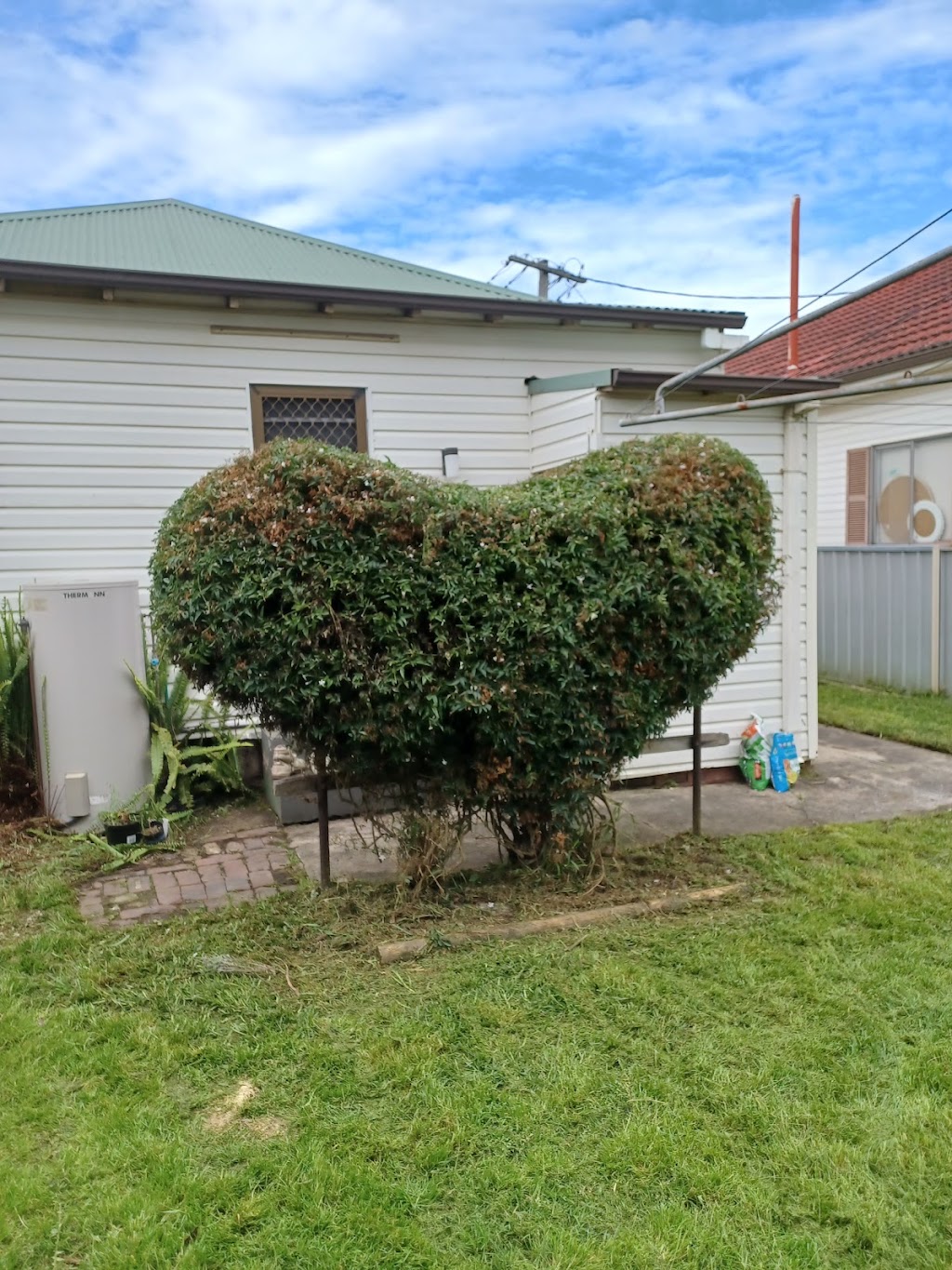 Gringo Yard And Garden Maintenance | 73 Janet St, North Lambton NSW 2299, Australia | Phone: 0468 688 967