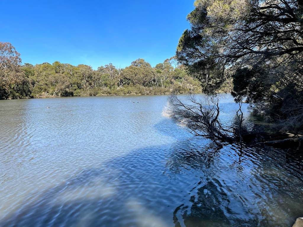 Blackburn Lake - Duck Point | 38 Lake Rd, Blackburn VIC 3130, Australia | Phone: (03) 9262 6000