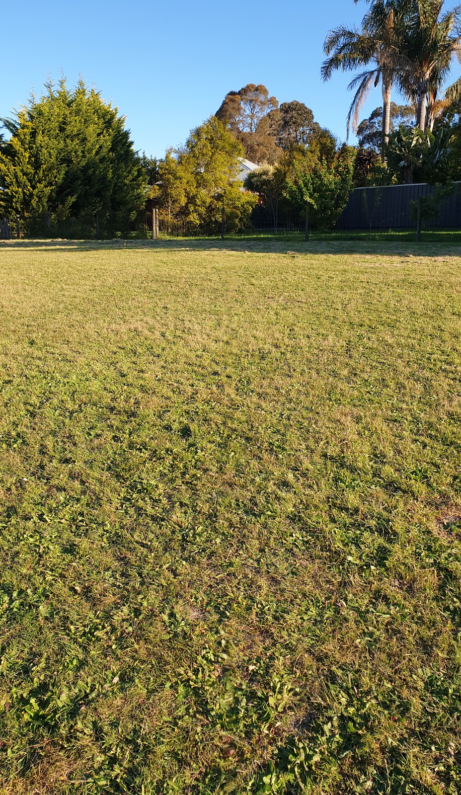 Leash free (fenced) | Somerville VIC 3912, Australia