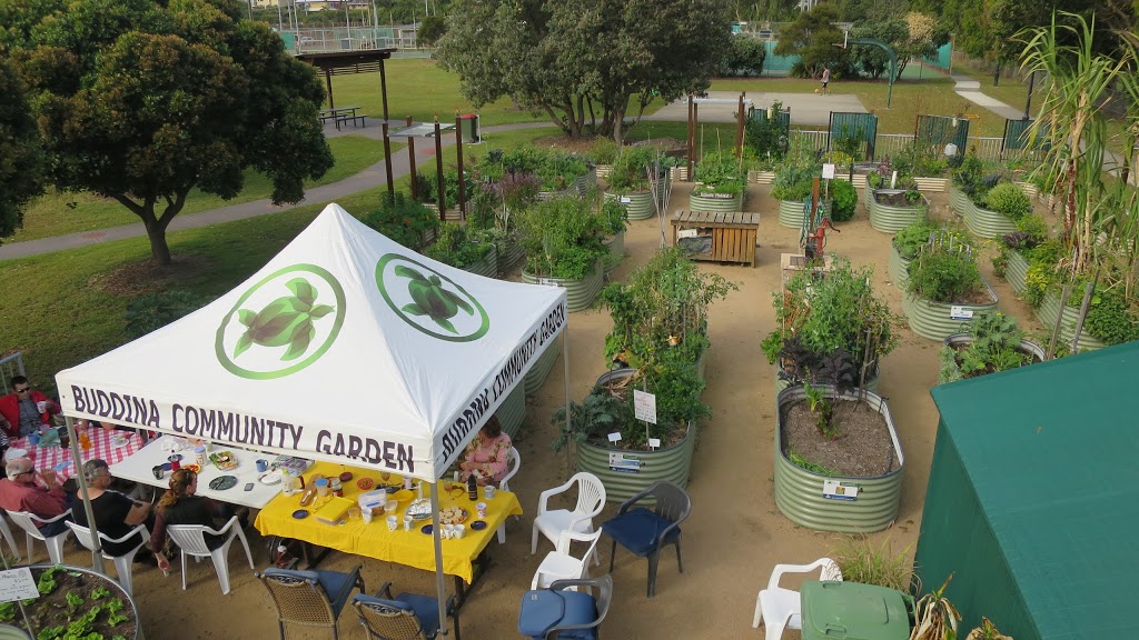 Buddina Community Garden | park | 20 Nanyima St, Buddina QLD 4575, Australia