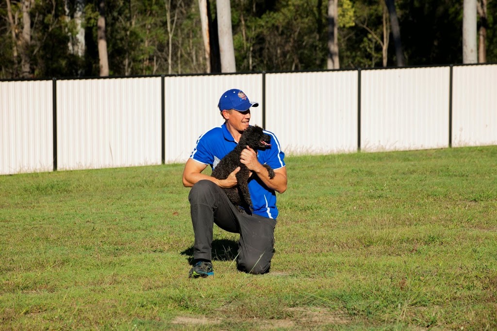 Excel Dog Training | 111 Attunga Rd, Greenbank QLD 4124, Australia | Phone: 0404 122 684