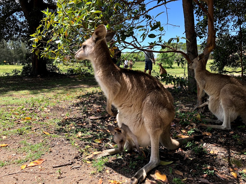 Morisset Hospital | Morisset Park Rd, Morisset Park NSW 2264, Australia