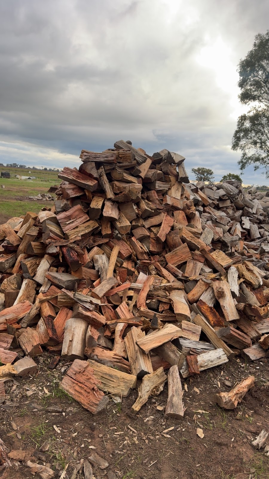 Carrick Trees & Contracting | 570 Stewart’s Rd, Tatura VIC 3616, Australia | Phone: 0457 283 085