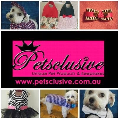 Petsclusive | pet store | Moncrief Rd, Cannon Hill QLD 4170, Australia | 0434887659 OR +61 434 887 659