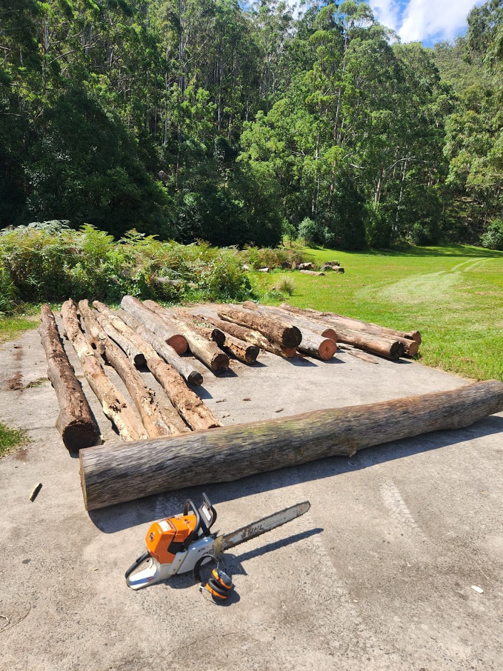 Wollombi Valley Tree Services | 4893 Great N Rd, Fernances Crossing NSW 2325, Australia | Phone: 0411 521 875
