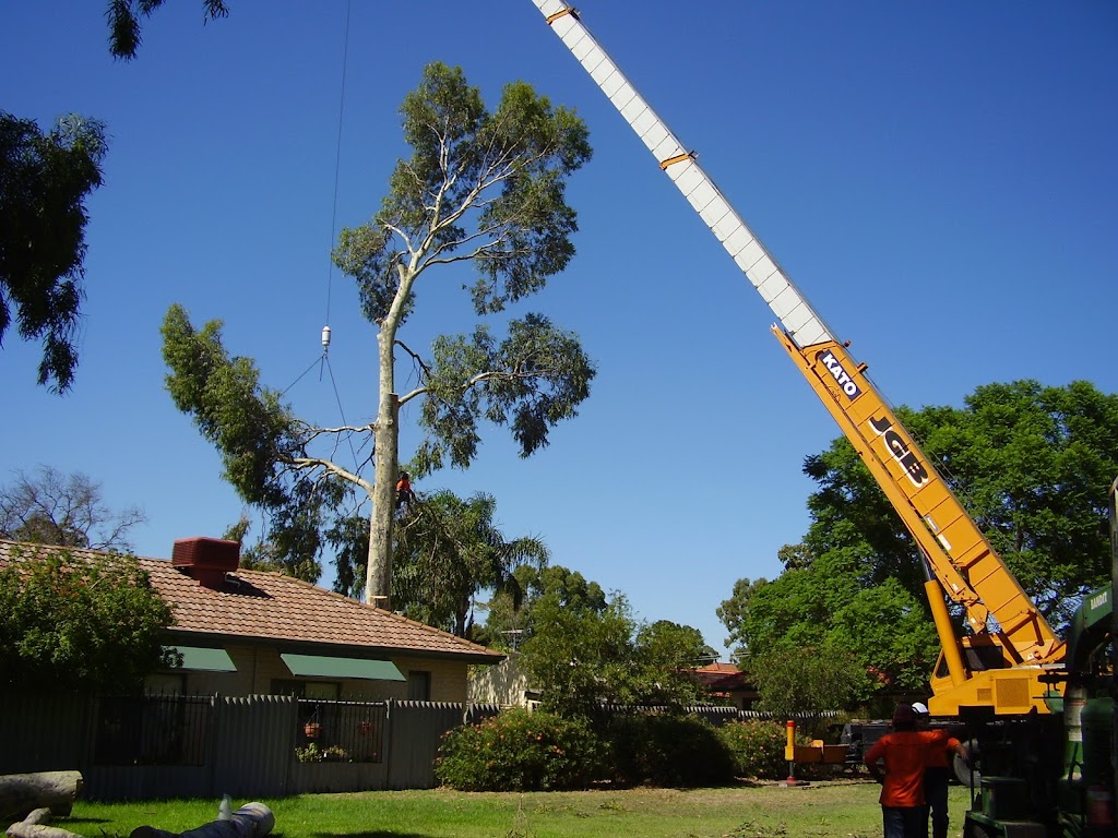 WA TreeWorks | general contractor | 847 Canning Mills Rd, Martin WA 6110, Australia | 1800088733 OR +61 1800 088 733