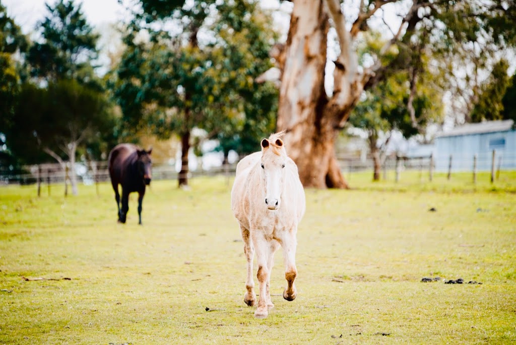 Sage’s Ridge | 203 Tripp McDonalds Rd, Nilma North VIC 3821, Australia | Phone: 0417 538 945