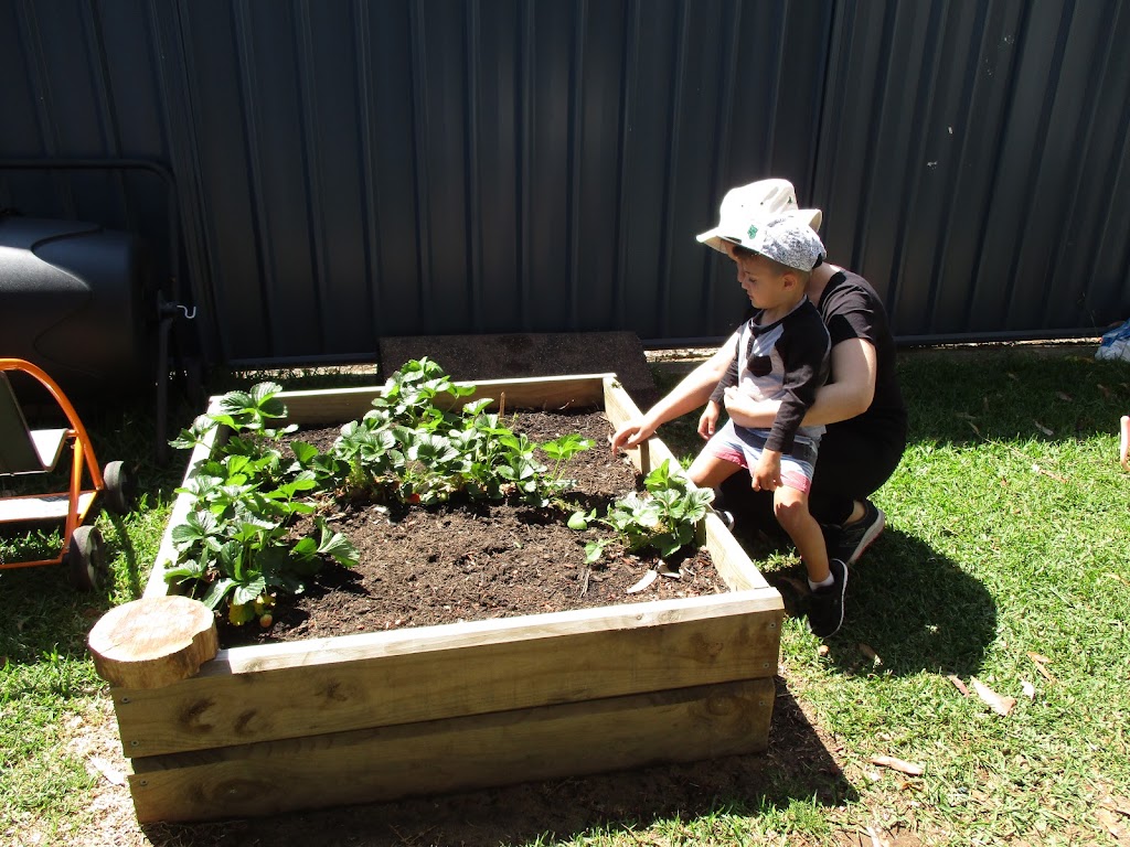 The Frogs Lodge | 180 Twelfth Ave, Austral NSW 2179, Australia | Phone: (02) 9606 8897