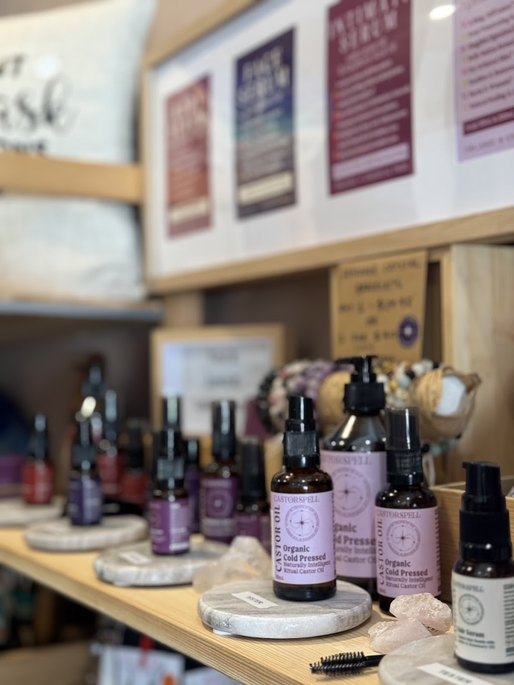 Castorspell | 57 Forresters Beach Rd, Forresters Beach NSW 2260, Australia | Phone: 0431 527 941