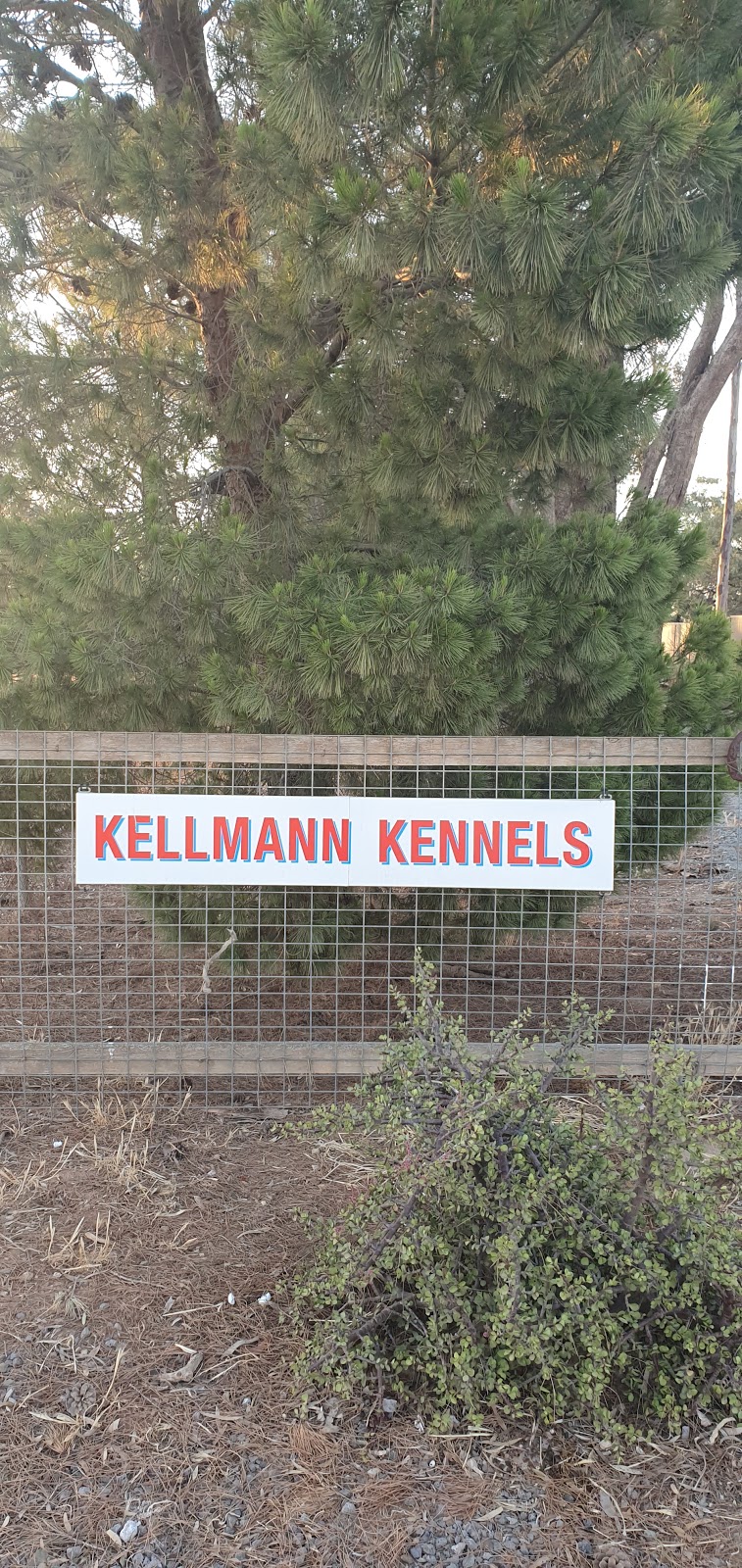 Kellmann Kennels |  | 162 Phelps Rd, Templers SA 5371, Australia | 0885248078 OR +61 8 8524 8078