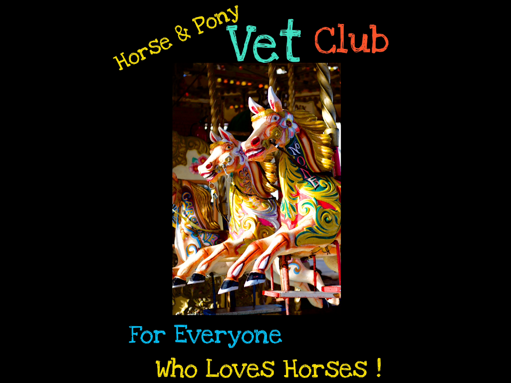 Horse & Pony Vet Club | veterinary care | 2715 S Western Hwy, Serpentine WA 6125, Australia