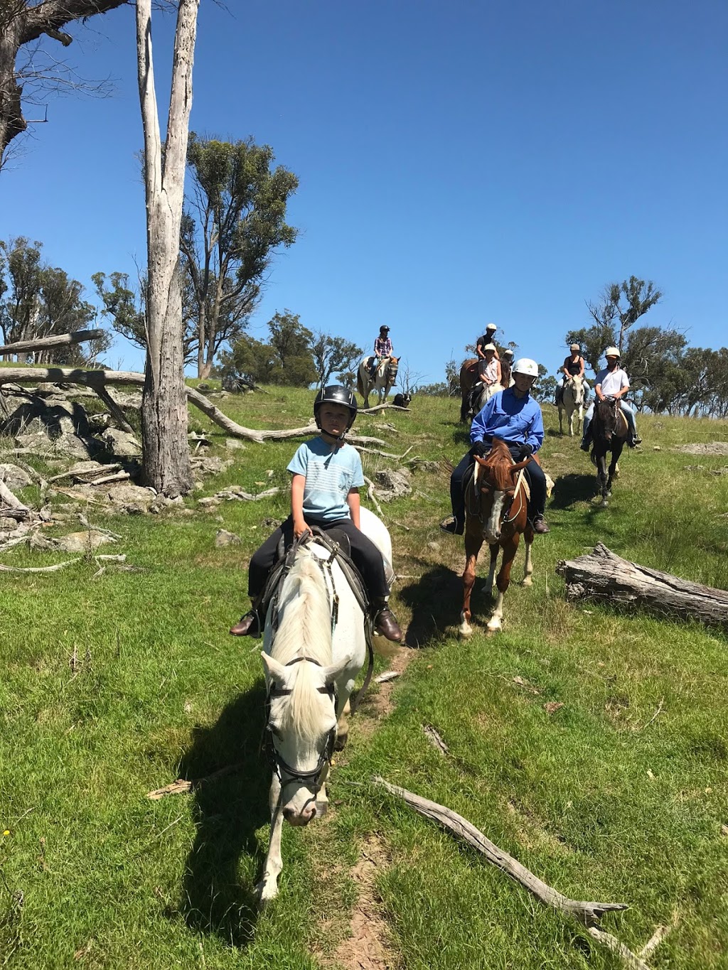 Harlow Park Horse Riding | 318 Gostwyck Rd, Uralla NSW 2358, Australia | Phone: (02) 6778 4631