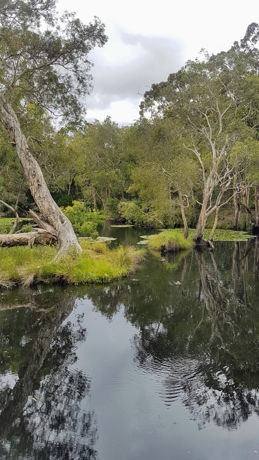 Apex Park | Wellington Point QLD 4160, Australia