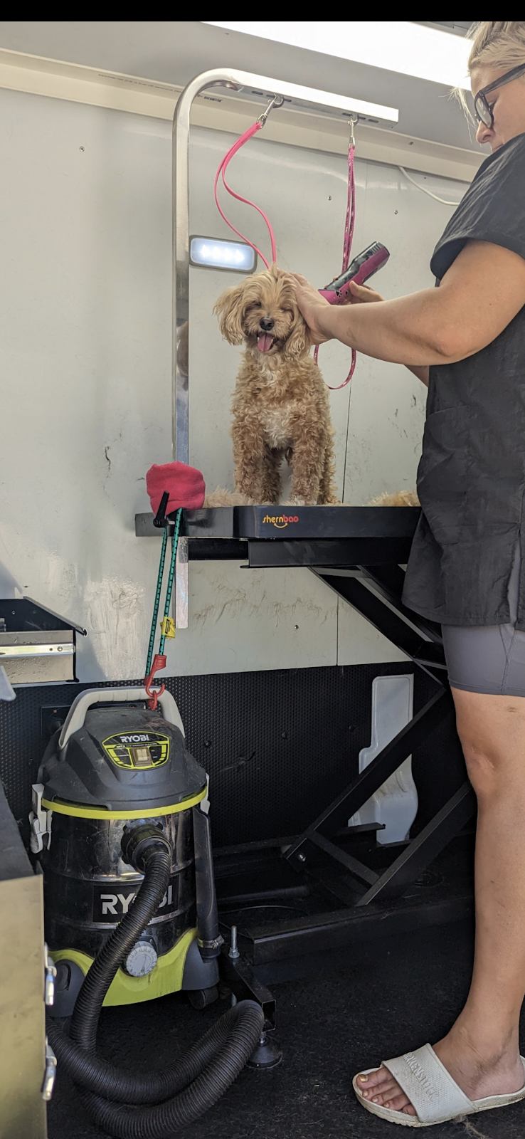 The Dog Grooming Garage | 13 Wiregrass Ave, Denham Court NSW 2565, Australia | Phone: 0438 049 618