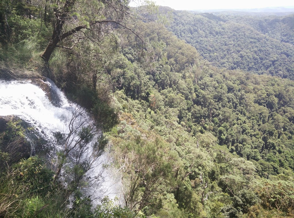 Springbrook National Park | Old School Rd, Springbrook QLD 4213, Australia